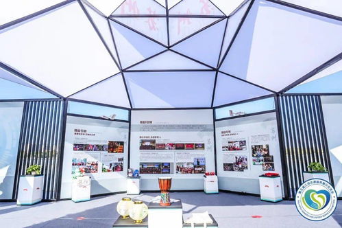 直击第五届江苏志愿服务展示交流会开幕 苏州市青年“手绘乡村”志愿服务项目特展现场纪实